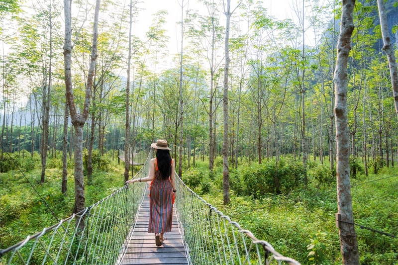 kỳ nghỉ DIAMOND FOREST